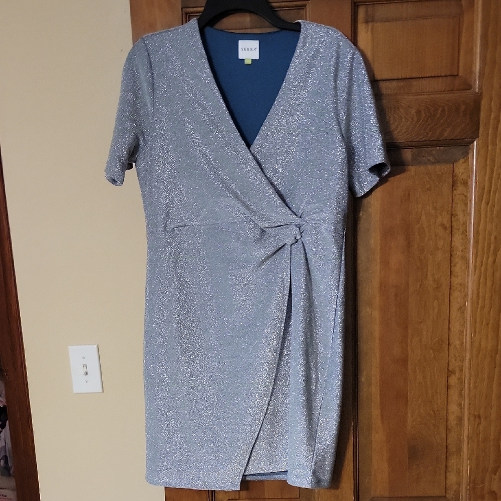 Women's Silver Sparkly Dress